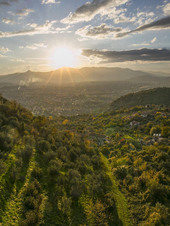 Enlarge photo 80