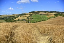 Enlarge photo 83