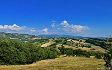 Enlarge photo 81
