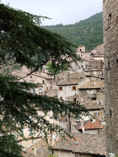 Enlarge photo 85