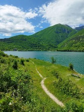 Enlarge photo 87