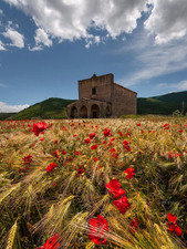Enlarge photo 91