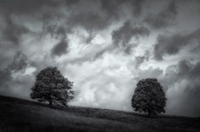 Enlarge photo 121