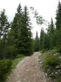 Enlarge photo 2