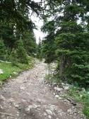 Enlarge photo 4