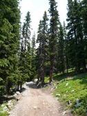 Enlarge photo 10
