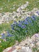 Enlarge photo 15