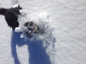 Enlarge photo 22