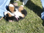 Enlarge photo 11
