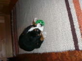 Enlarge photo 17