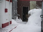 Enlarge photo 21