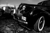 Enlarge photo 189