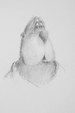 Enlarge photo 122