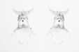 Enlarge photo 104