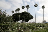Enlarge photo 51