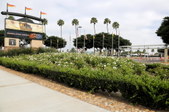 Enlarge photo 52
