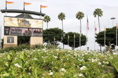 Enlarge photo 53