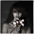 Stephanie model