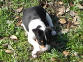 Enlarge photo 16