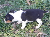 Enlarge photo 17