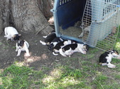 Enlarge photo 13