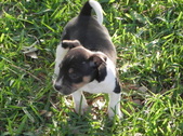 Enlarge photo 20