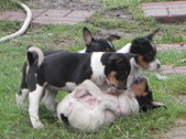 Enlarge photo 8