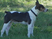 Enlarge photo 17