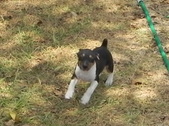 Enlarge photo 11