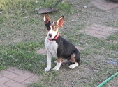 Enlarge photo 5