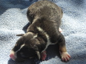 Enlarge photo 14