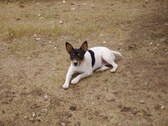 Enlarge photo 4