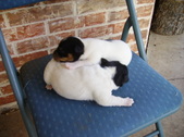 Enlarge photo 6