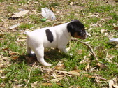 Enlarge photo 13