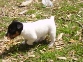 Enlarge photo 14