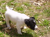 Enlarge photo 15
