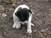 Enlarge photo 16
