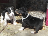 Enlarge photo 12