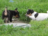 Enlarge photo 11
