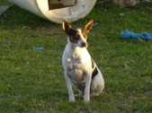 Enlarge photo 13