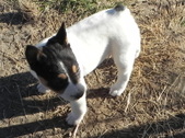 Enlarge photo 11