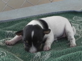 Enlarge photo 14