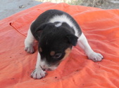 Enlarge photo 10