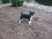 Enlarge photo 4