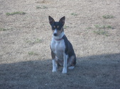 Enlarge photo 6