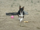Enlarge photo 15