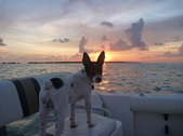Enlarge photo 21