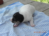 Enlarge photo 24