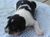 Enlarge photo 4