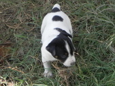 Enlarge photo 12